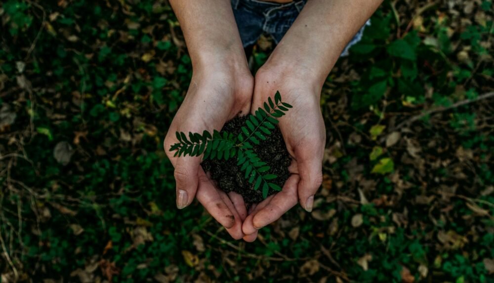 green-living-in-germany-sustainability-tips-for-expats